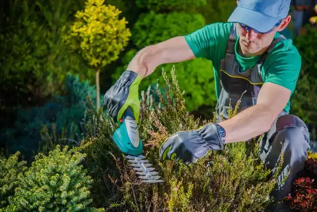 landscaping services Cheneyville